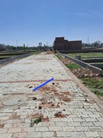 650 Sq.Ft. Plot in Subesh Properties 