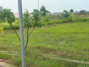  Plot For Sale in Kosi