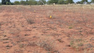 Plot Area in  Land at Karanampettai – for Sale