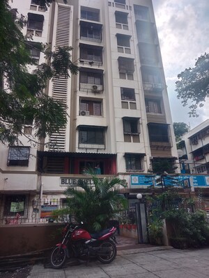 1 BHK Apartment For Rent in Blue Shelter, Dahisar West