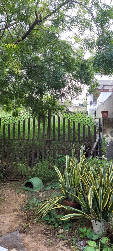  Plot For Sale in Sector 99