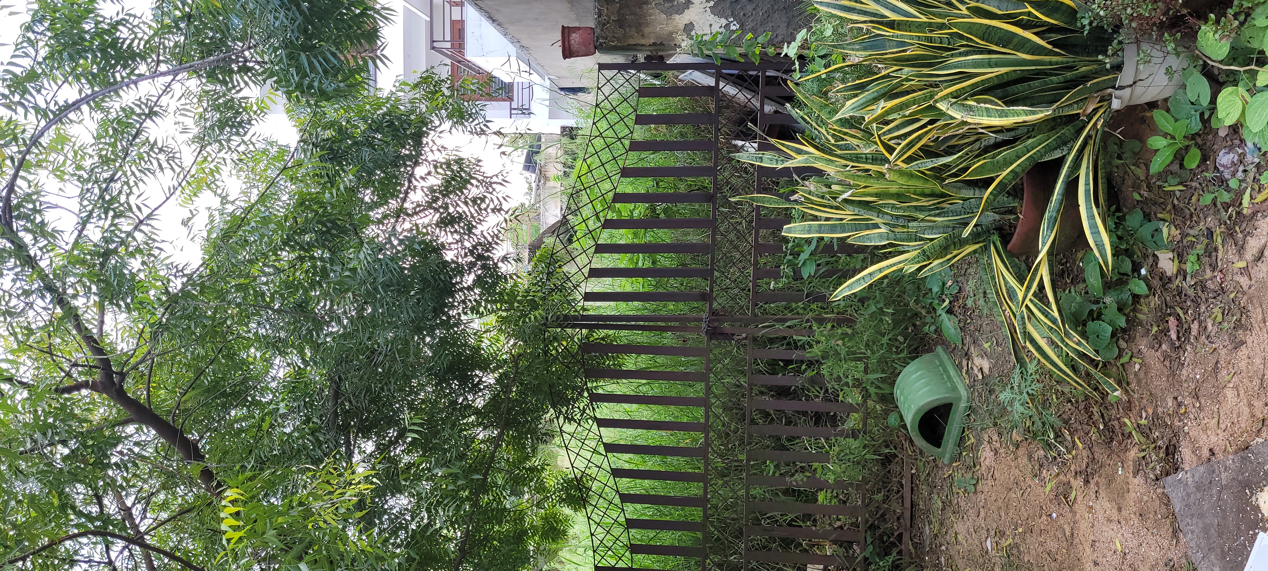 Plot For Sale in Sector 99