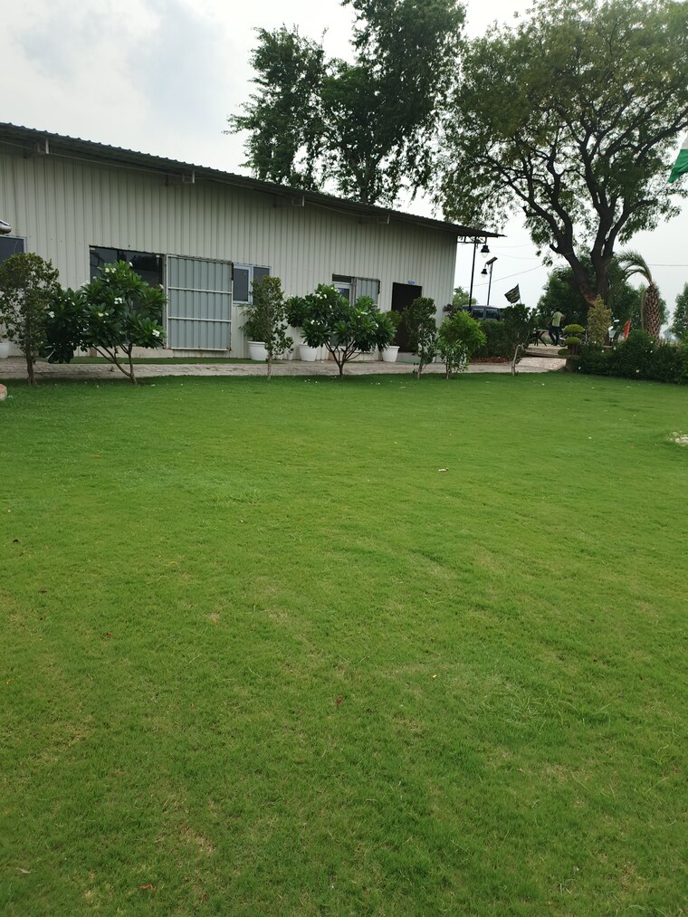 Garden, dankaur  200 Sq.Yd. Plot In Dankaur Greater Noida 9266152