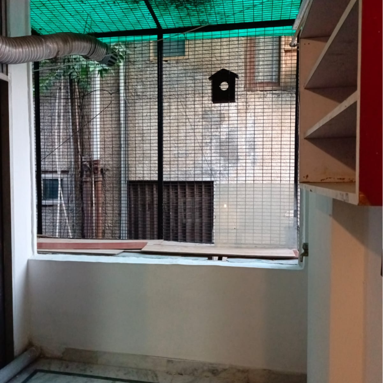 Balcony, malviya nagar 3 Bedroom 1125 Sq.Ft. Builder Floor In Malviya Nagar Delhi 9266429