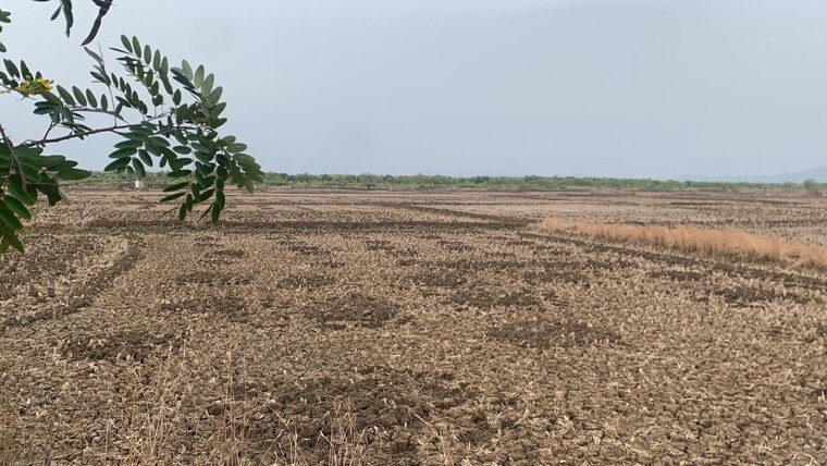 undefined, uran  4358 Sq.Ft. Plot In Uran Navi Mumbai 9266784