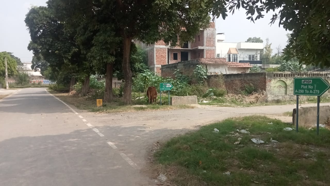 Plot For Sale in Sector 151