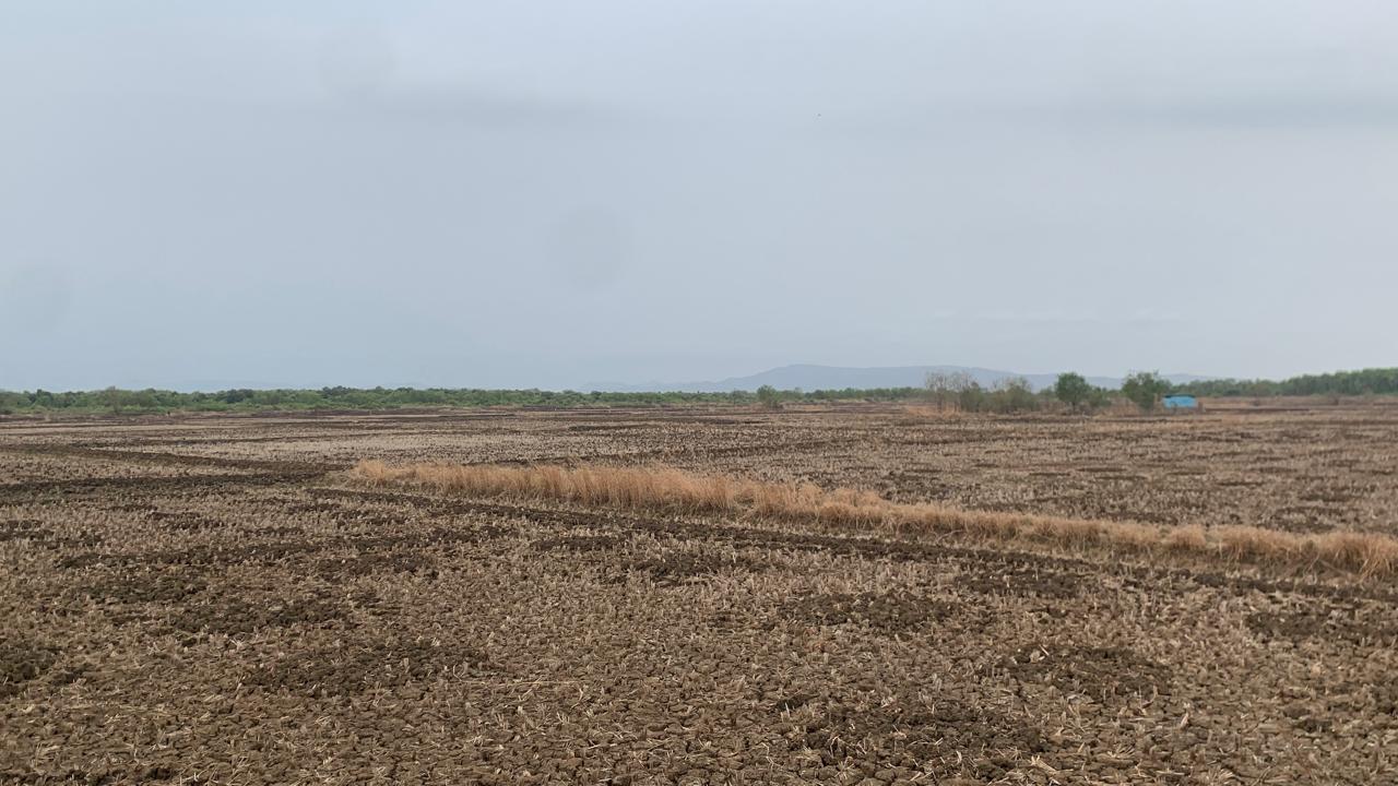 Plot For Sale in Bunglow Plot 