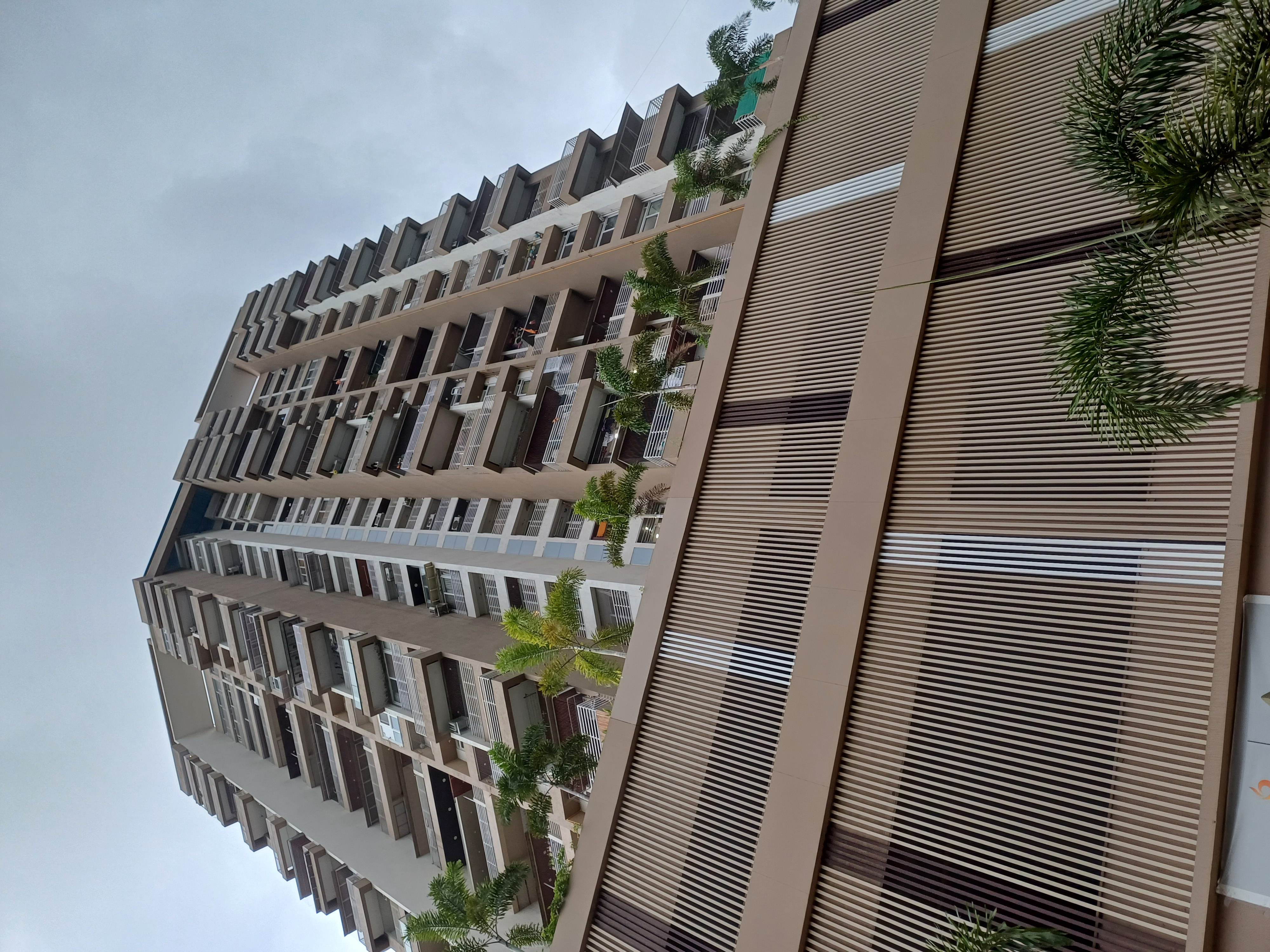 2 BHK Apartment For Rent in Alliance One