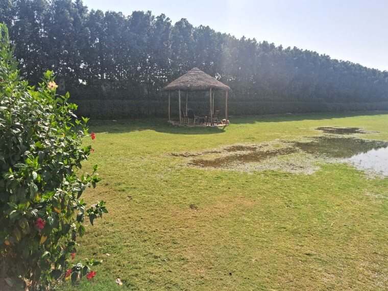 Garden, rahmatnagar  1800 Sq.Ft. Plot In Rahmatnagar Lucknow 9267796