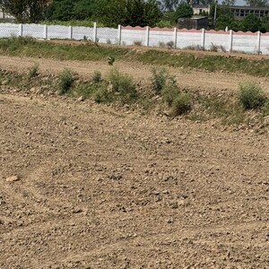 Plot Area in  Plot at Ipan Suraksha Enclave, Dankaur – for Sale