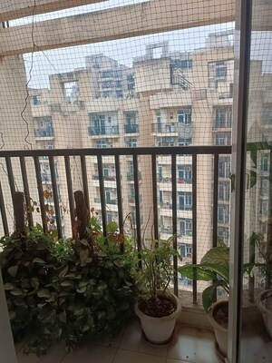 2.5 BHK Apartment – Exterior View View at Gaur City 2 - 10th Avenue, Sector 16c Greater Noida - for Sale