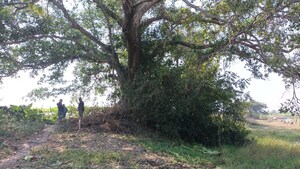  Plot For Sale in Sonarpur