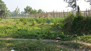 Plot Area in  Plot at Sonarpur – for Sale