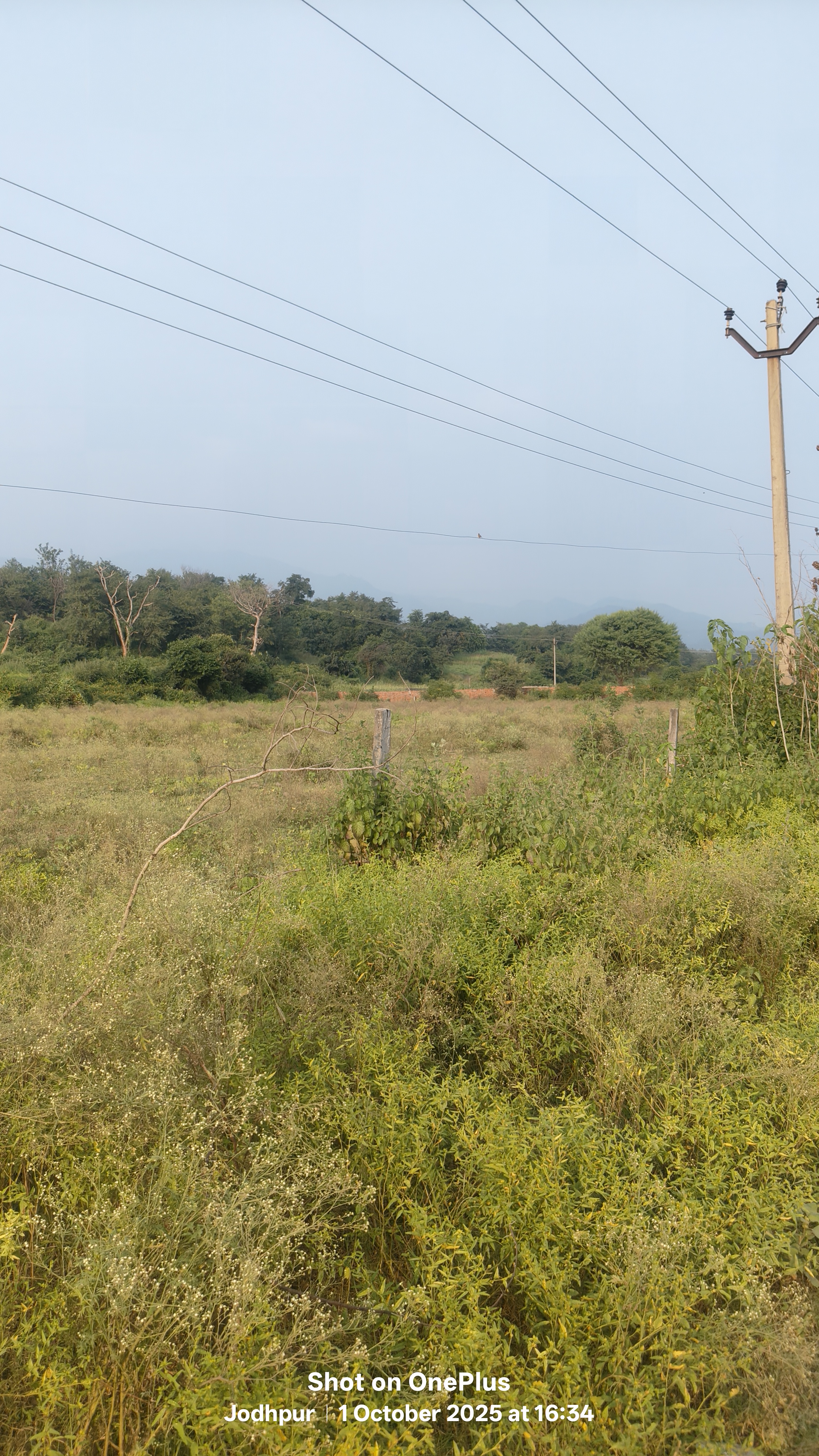 Plot For Sale in D R Estate 
