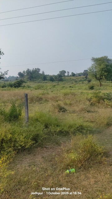 Plot Area in  Plot at Dhakoli – for Sale