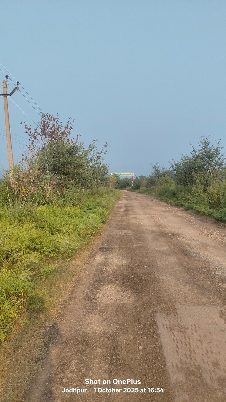 undefined, dhakoli  257 Sq.Yd. Plot In Dhakoli Zirakpur 9268542