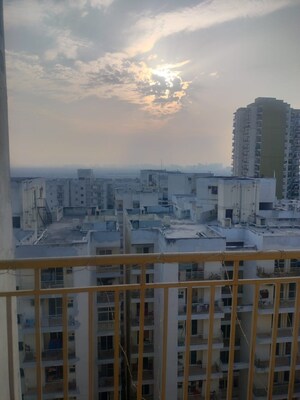 3 BHK Apartment For Rent in Gardenia Golf City, Sector 75