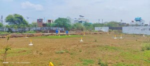 Plot Area in  Plot at Barela Road – for Sale