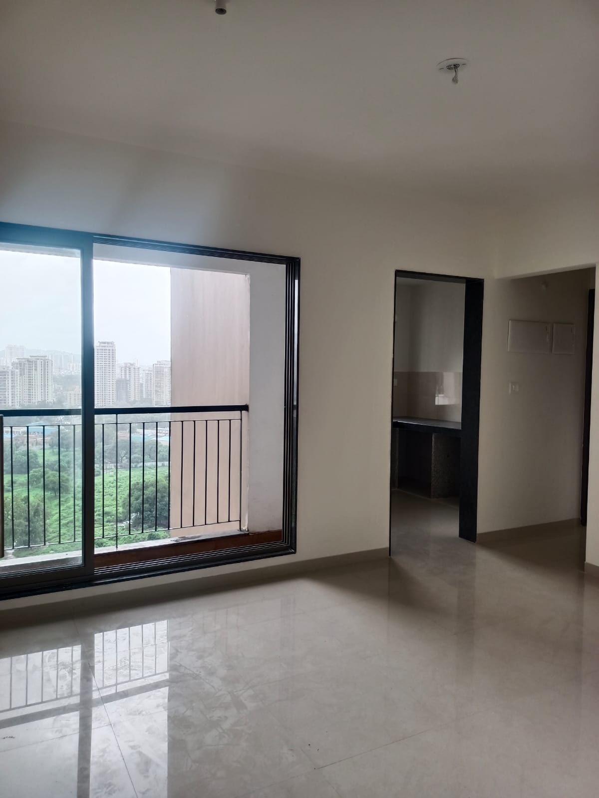 1 BHK Apartment For Rent in Runwal Eirene