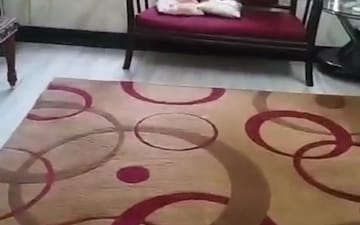 2 BHK Apartment For Rent in Gemstar Nestle Apartments, Malad West