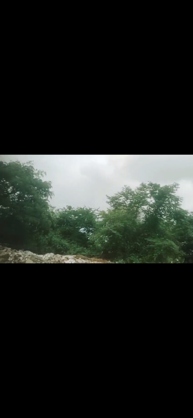 undefined, mira-chs-mira-road-east Commercial Land 3 Acre In Mira Road East Thane 9268981