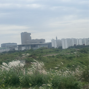 Plot Area in  Plot at Vijayawada One Town – for Sale