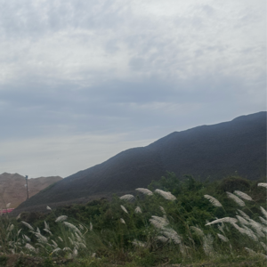 Plot Area in  Land at Vijayawada One Town – for Sale