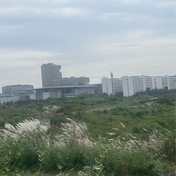 Plot Area in  Plot at Tadepalli – for Sale