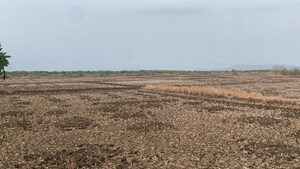  Land For Sale in Uran
