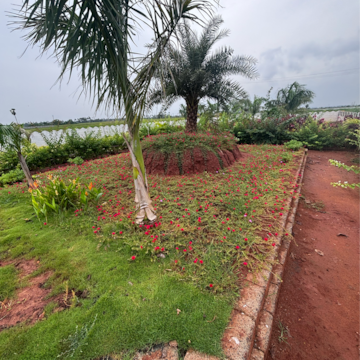 Plot Area in  Plot at Kunchanapalli – for Sale