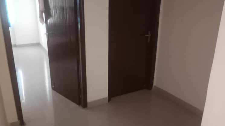 Room, ardee-city-palm-grove-heights 3 Bedroom 2586 Sq.Ft. Apartment In Sector 52 Gurgaon 9269397