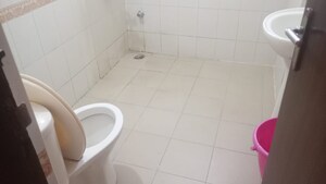 Bathroom in 3 BHK Apartment at Ardee City Palm Grove Heights, Sector 52 – for Rent
