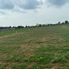 Plot For Sale in Poranki