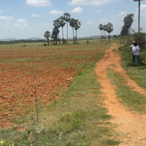 Plot Area in  Plot at Poranki – for Sale