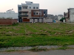 Plot For Sale in Wave City
