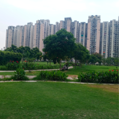 3.5 BHK + Pooja Room,Servant Room,Study Room,Extra Room Apartment For Sale in Jaypee Greens Aman