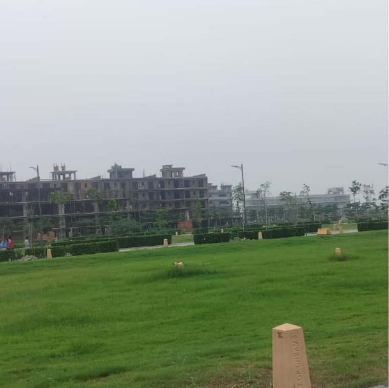 Garden, tdi city 3 Bedroom 140 Sq.Yd. Builder Floor In Tdi City Panipat 9269846