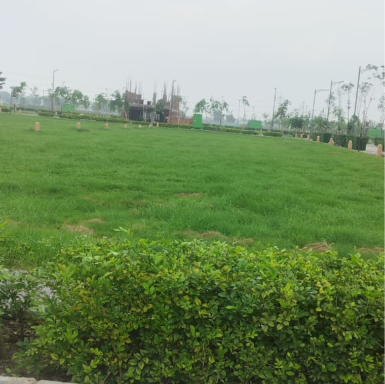 Garden, tdi city 3 Bedroom 140 Sq.Yd. Builder Floor In Tdi City Panipat 9269846
