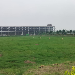 Plot Area in 3 BHK Builder Floor at Tdi City – for Sale