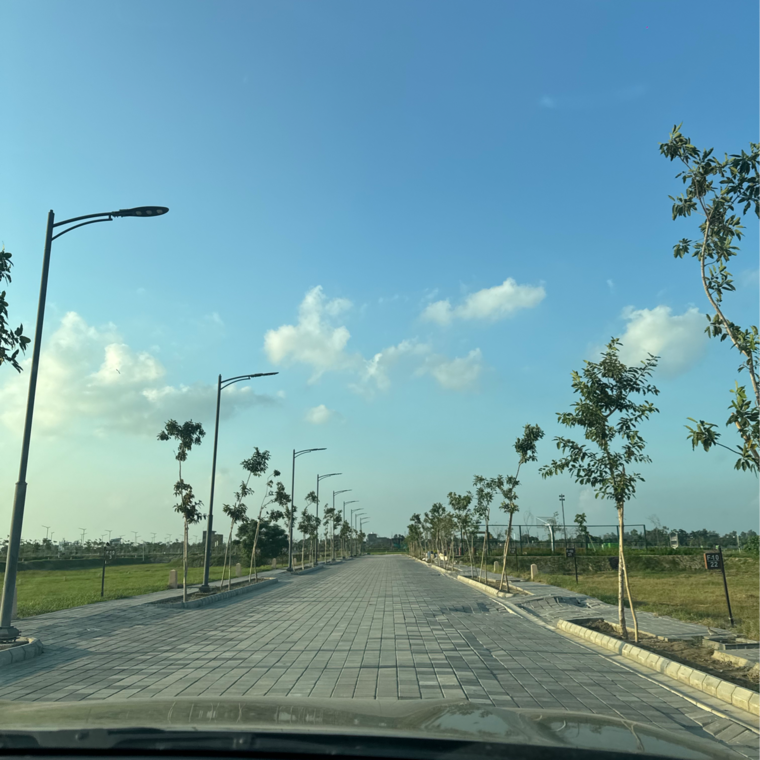 Garden, tdi city 3 Bedroom 140 Sq.Yd. Builder Floor In Tdi City Panipat 9269846