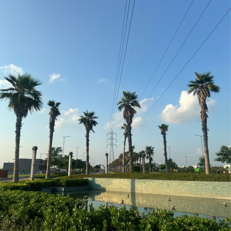Garden, tdi city 3 Bedroom 140 Sq.Yd. Builder Floor In Tdi City Panipat 9269846