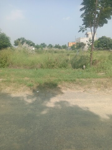 Plot Area in  Plot at Altus Muirwood Ecocity, North Kharar – for Sale