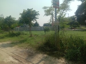 Plot Area in  Plot at Altus Muirwood Ecocity, North Kharar – for Sale