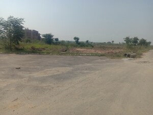 Plot Area in  Plot at Altus Muirwood Ecocity, North Kharar – for Sale