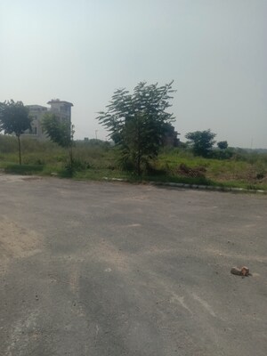Plot Area in  Plot at Altus Muirwood Ecocity, North Kharar – for Sale