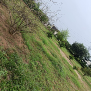 3 BHK Independent House – Garden View at Sohna - for Sale