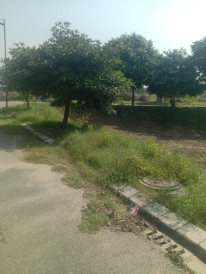 Plot Area in  Plot at Altus Muirwood Ecocity, North Kharar – for Sale