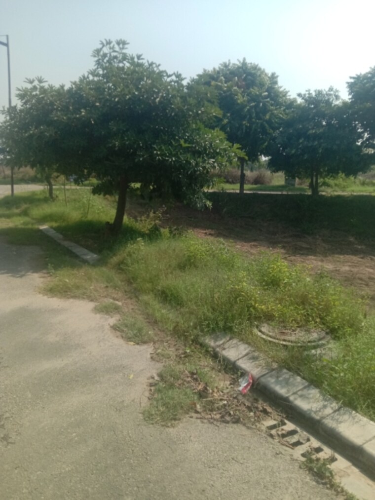 undefined, altus-muirwood-ecocity  238 Sq.Yd. Plot In North Kharar Chandigarh 9269928