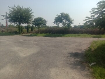 Plot Area in  Plot at Altus Muirwood Ecocity, North Kharar – for Sale