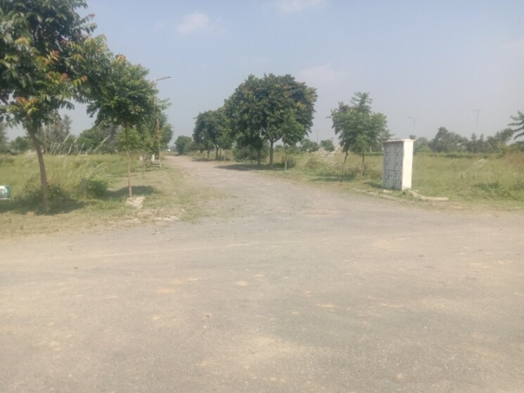 Garden, altus-muirwood-ecocity  238 Sq.Yd. Plot In North Kharar Chandigarh 9269928